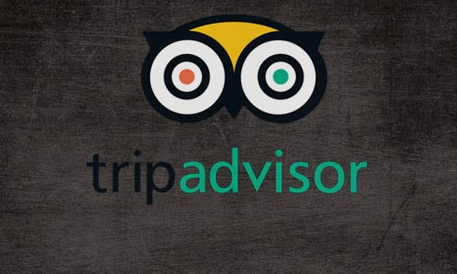 trip Advisor